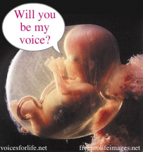 Pro-Choice, Illogical, No Sense, Abortion, Morality, Woman's Body, Choice