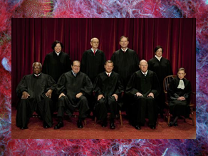Supreme Court, Abortion, Precedent, Roe v. Wade, Doe v. Bolton, Viability